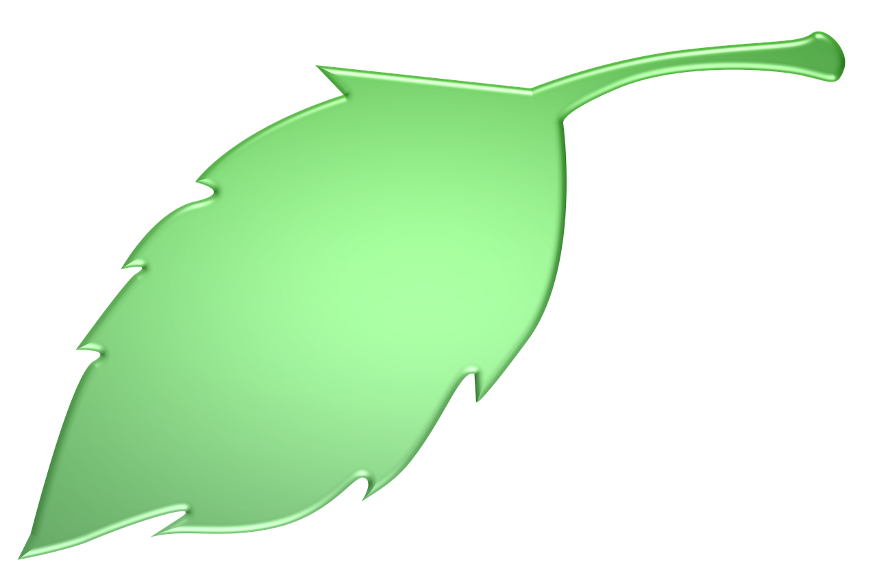 greenwealthpath